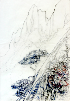  Pine (Yelow Mountains) - 2006, pen, pencil on tracing paper, 110x70cms
