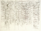  Forest II. - 2002, pen on tracing paper, 75x100cms