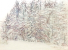  Forest I. (Roadway up Hrebienok) - 2002-2004, pen on tracing paper, 75x100cms