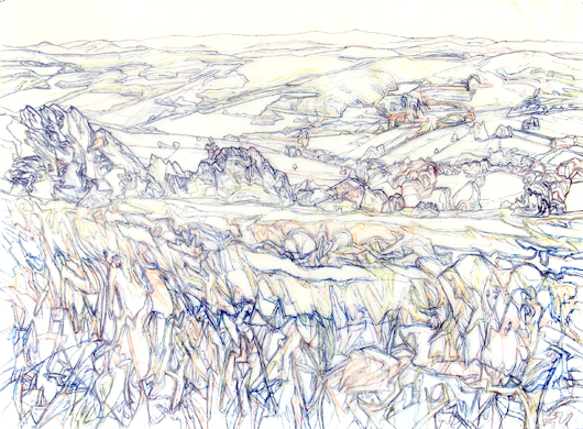  Grass (Malá Franková) - 2007, pen, pencil on tracing paper, 80x110cms