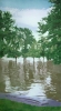  Floods II. - 2004, oil on canvas, 145x80cms